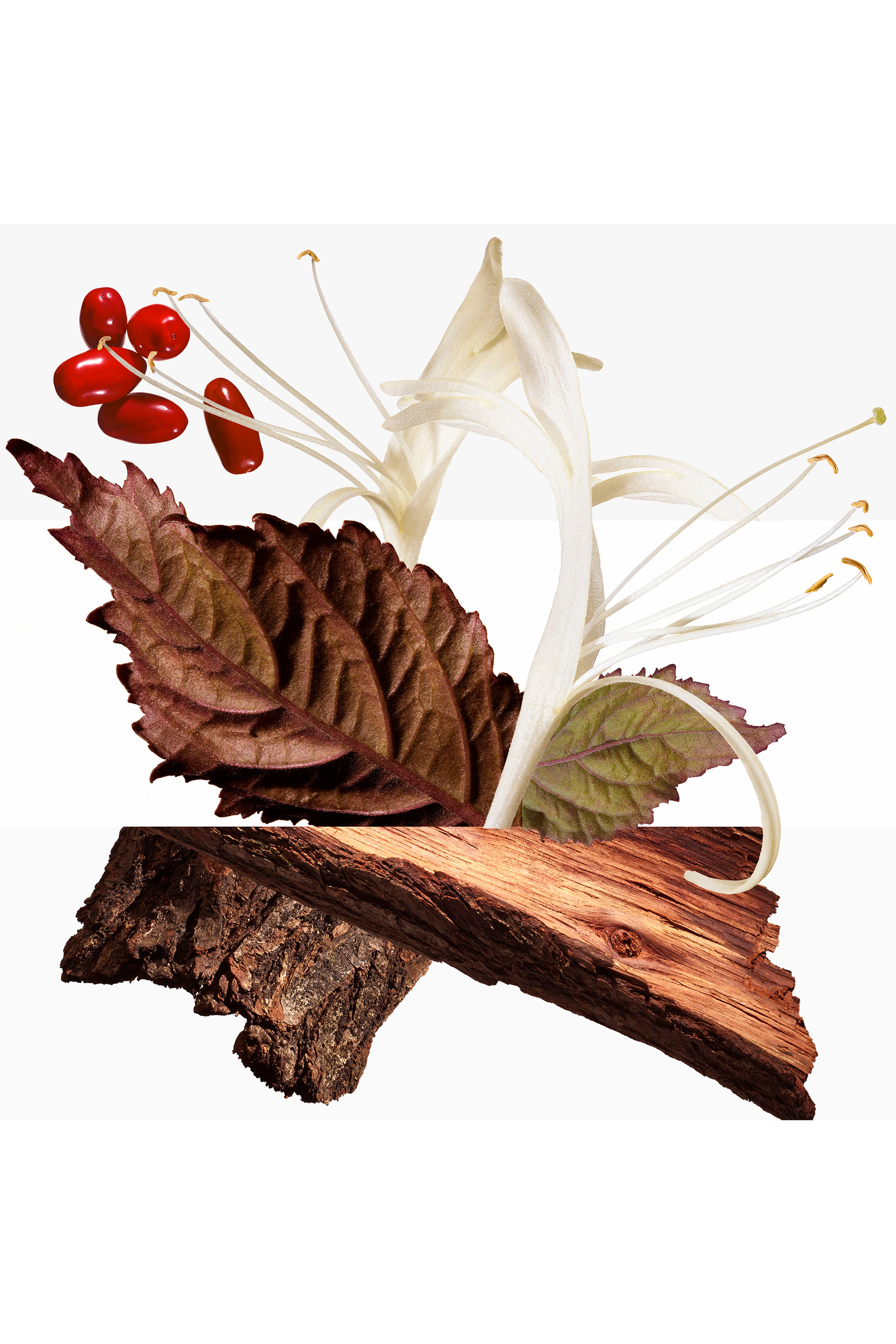 معطر شعر بارينيا