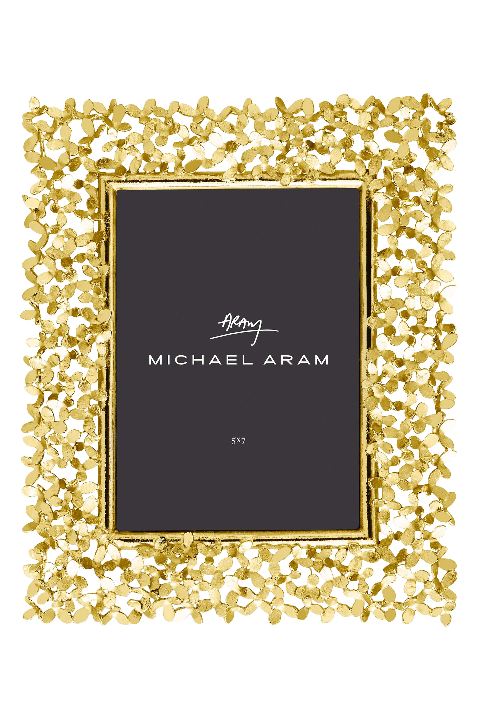 إطار دانديليون