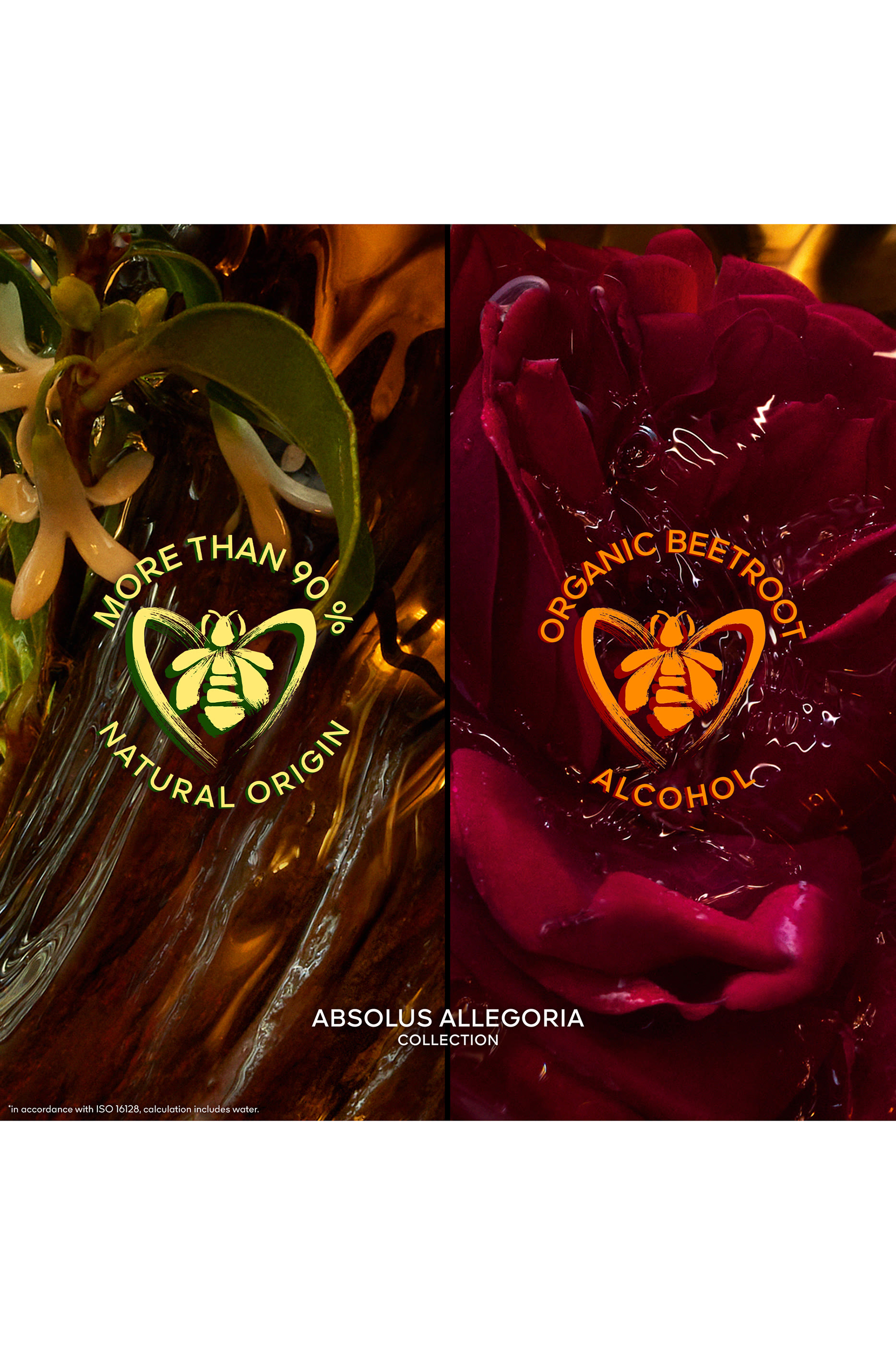 أو دو بارفان أبسولوس أليجوريا أمبر سمر