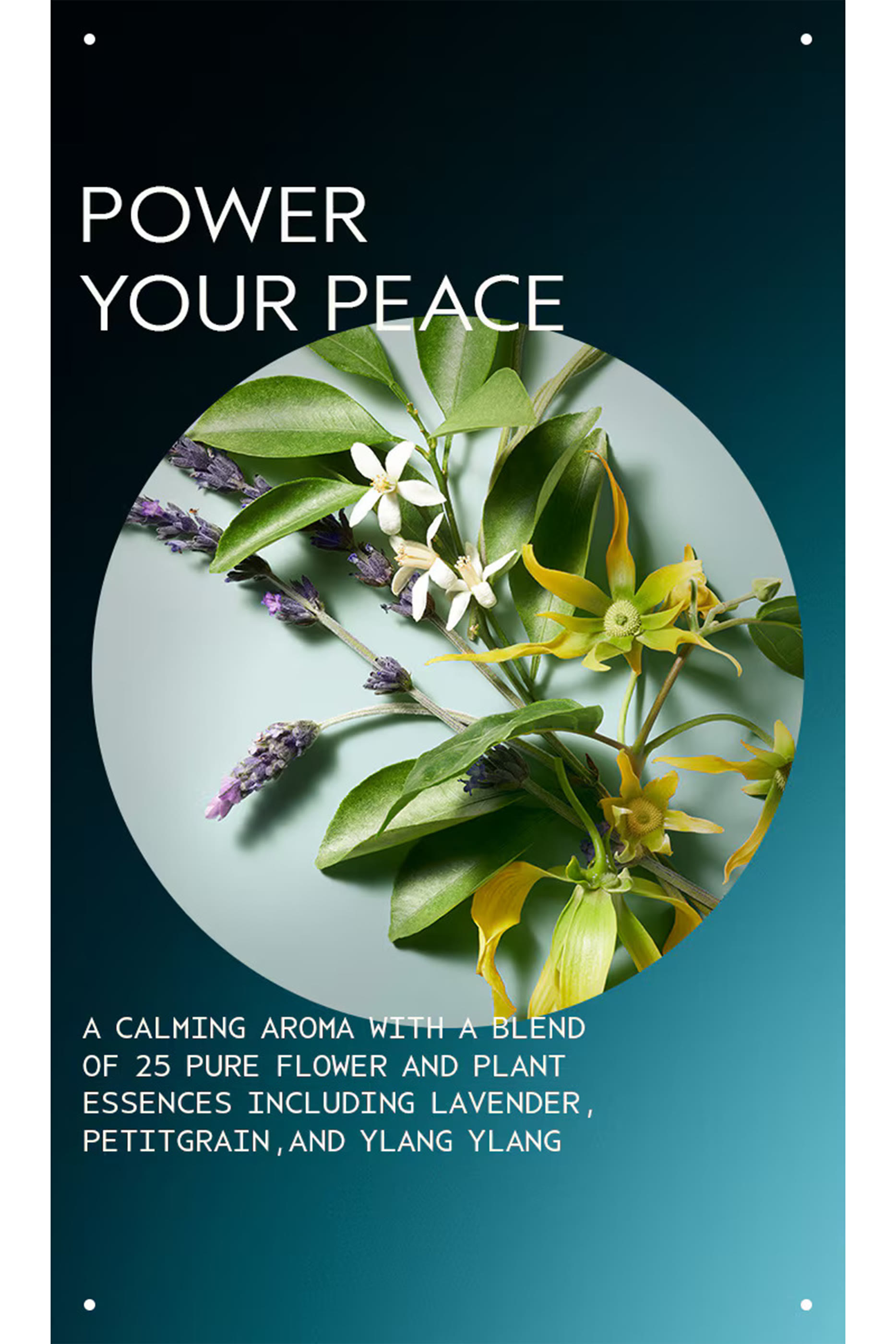 شامبو جاف بقوام بودرة