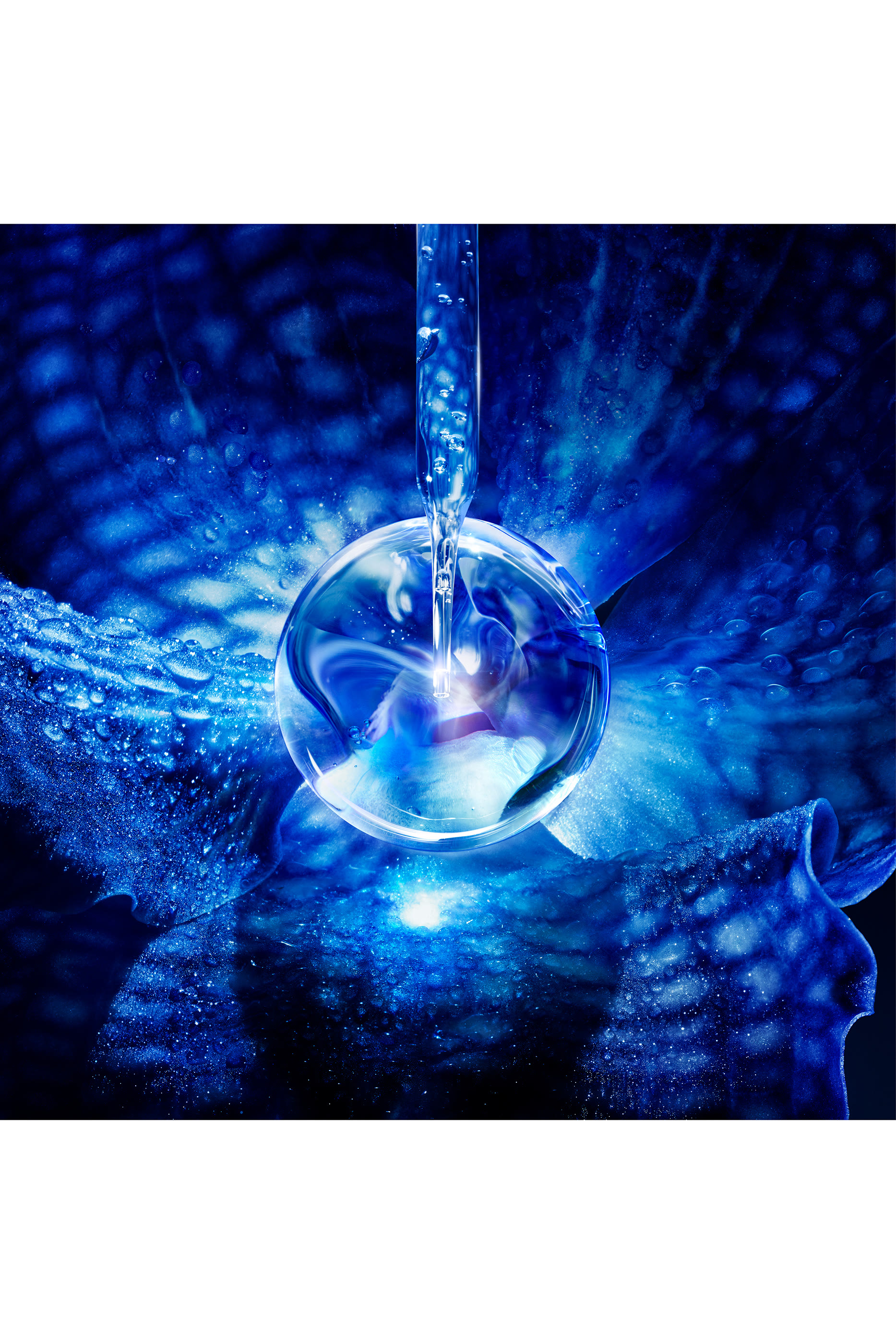 كريم أوركيديه إمبريال ذا لونغيفيتي