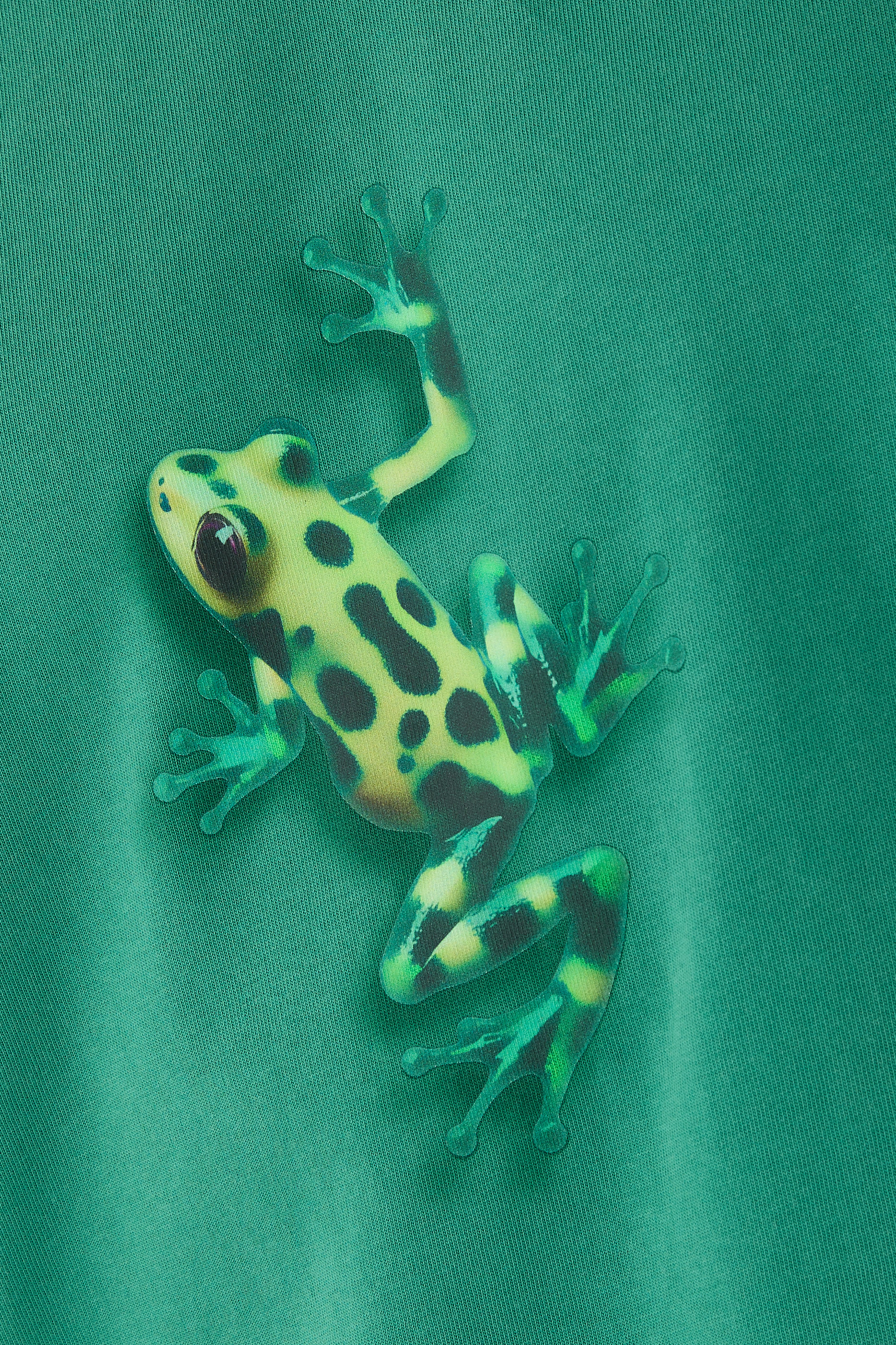 تيشيرت بنقشة ضفدع