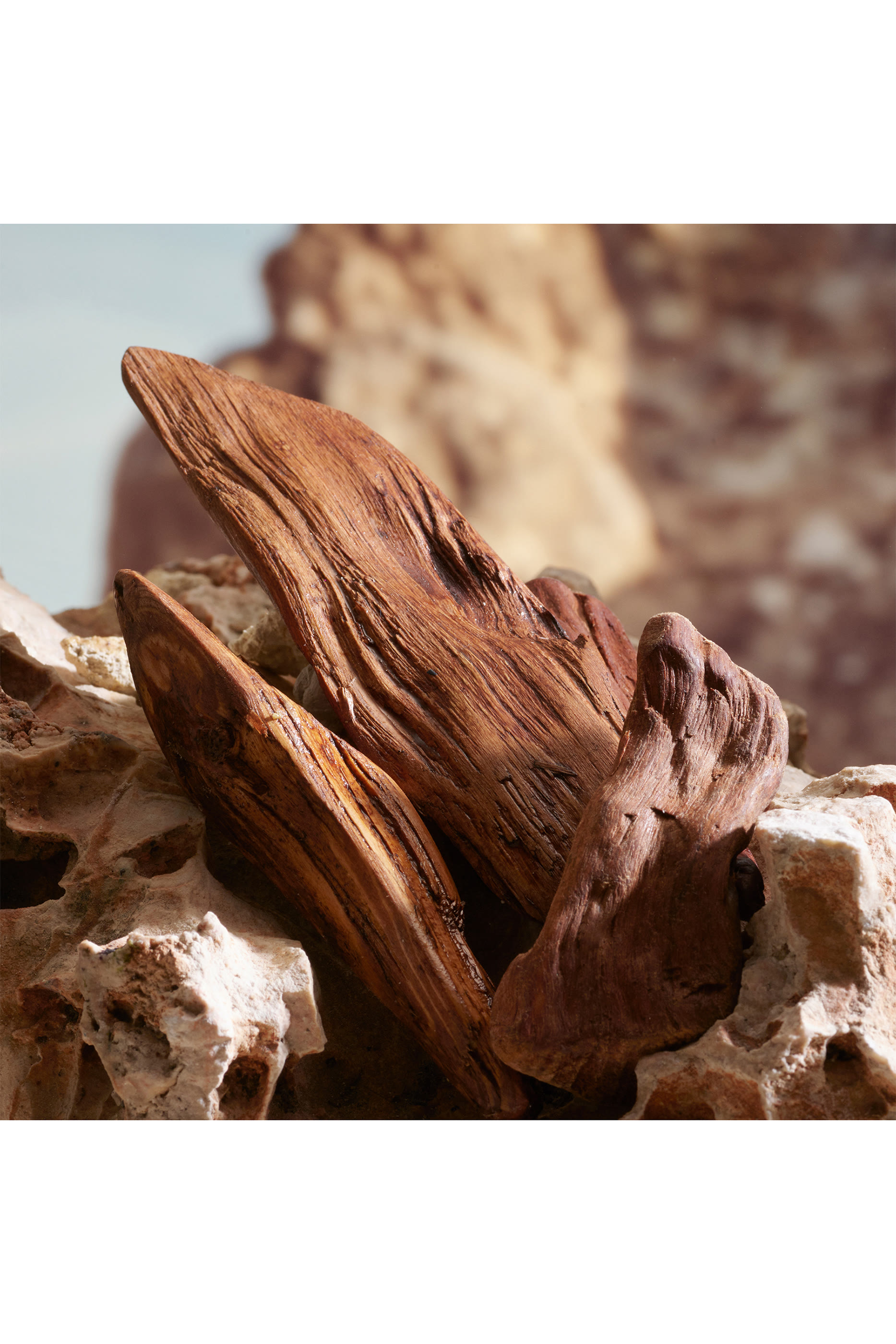 عطر كاي من دولتشي اند غابانا