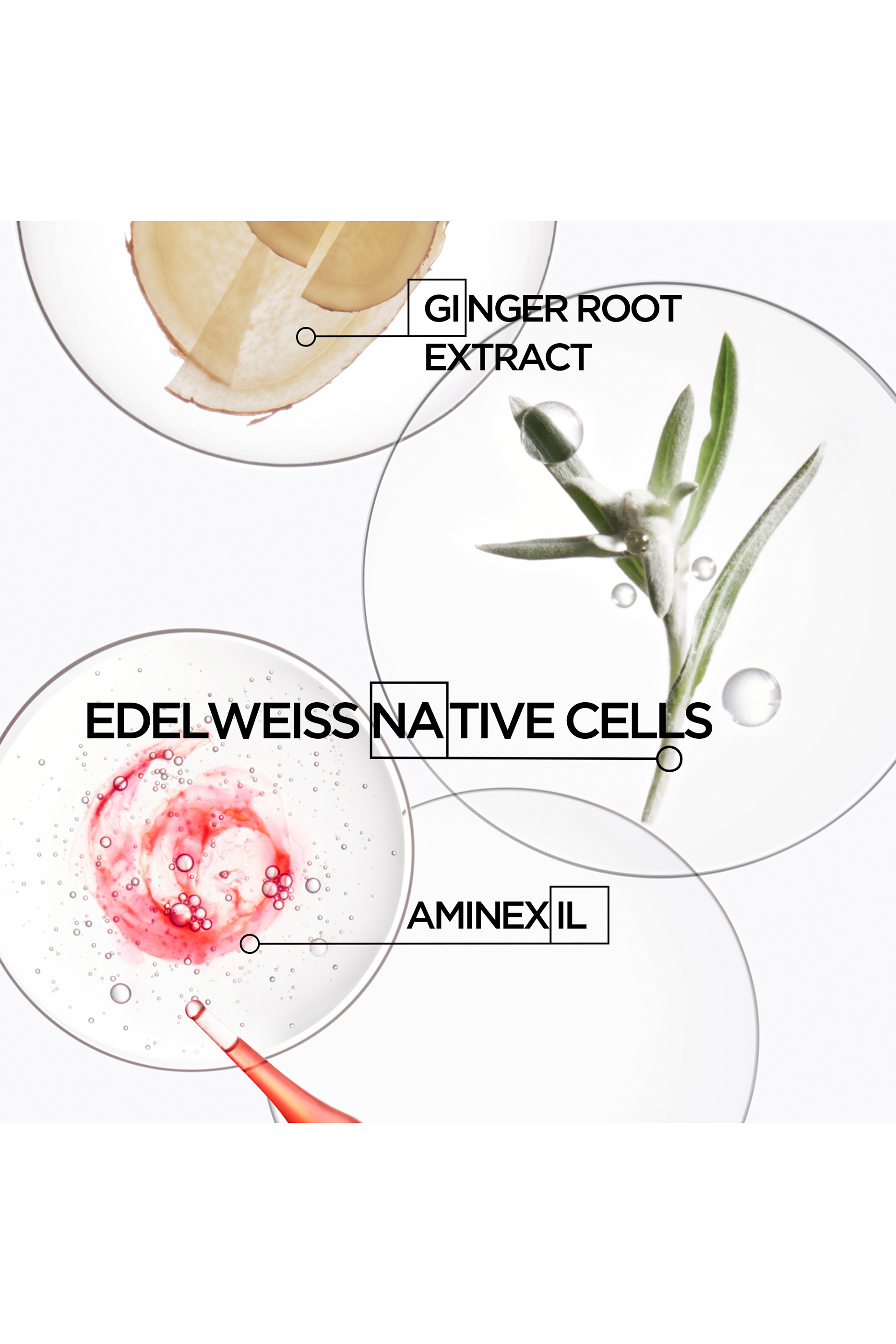 Genesis Bain Hydra-Fortifiant Shampoo For Thin Hair