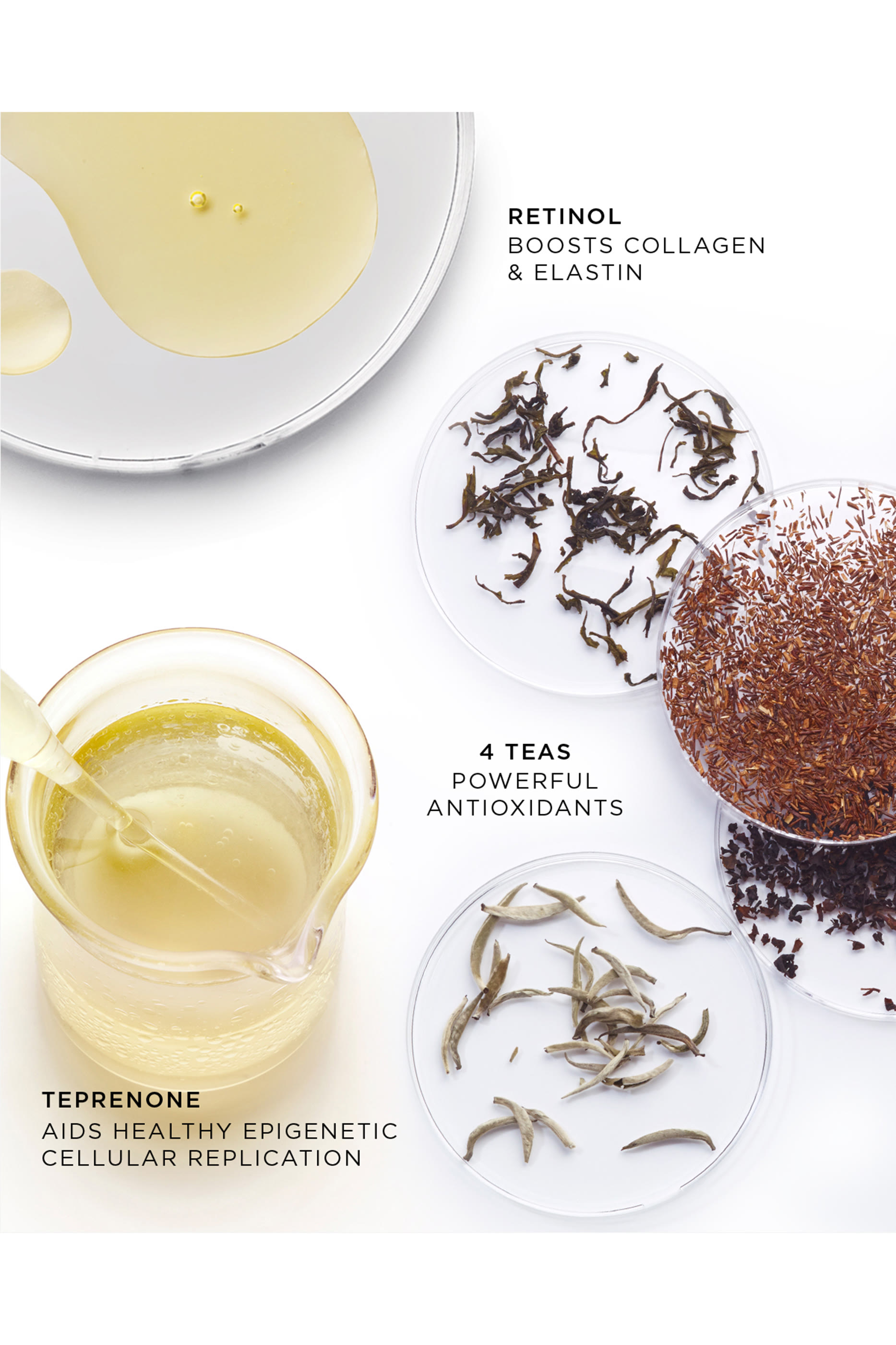 عبوة إعادة ملء سيروم أبسولوت المركز لتجديد البشرة