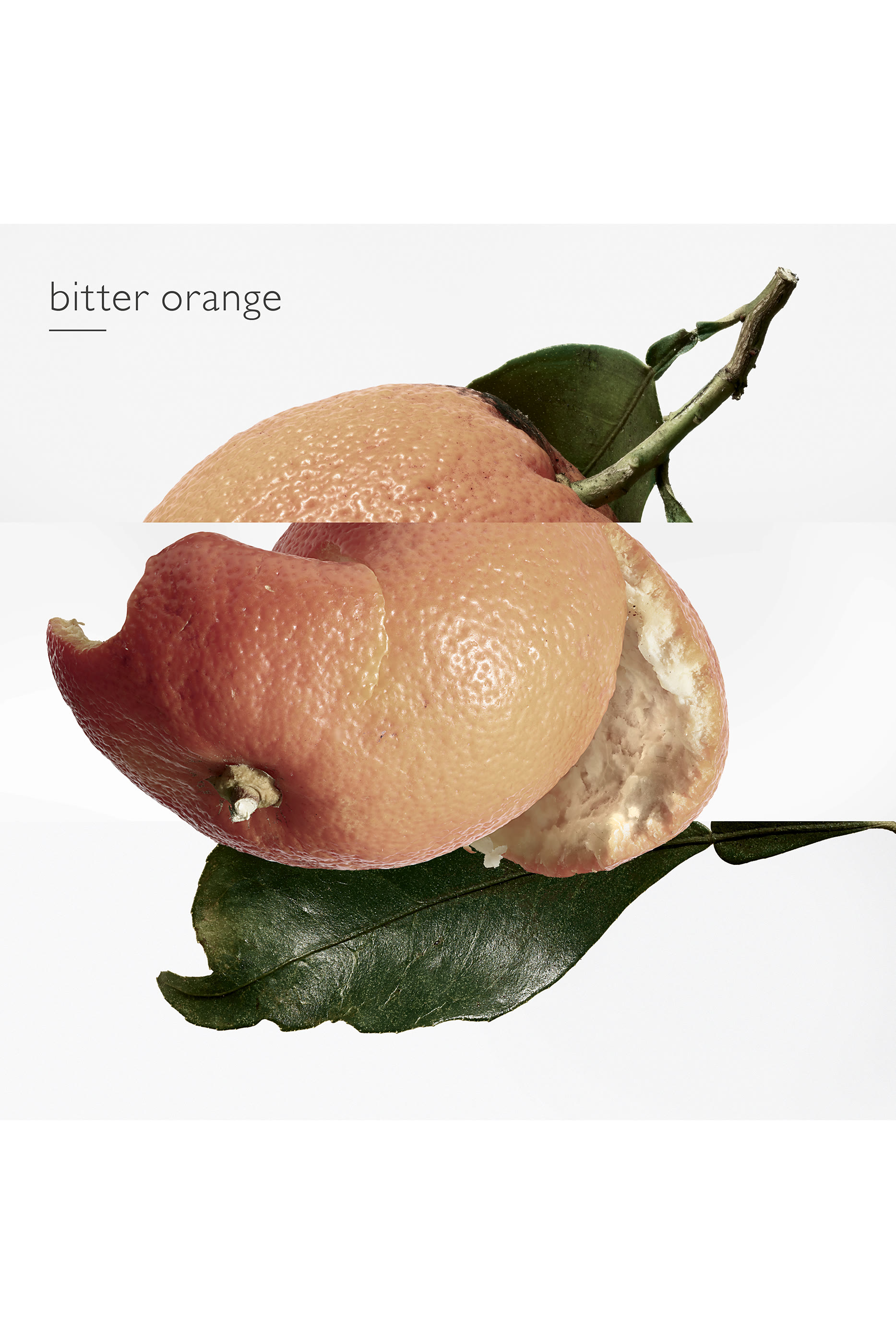 Eau des Merveilles, ماء تواليت