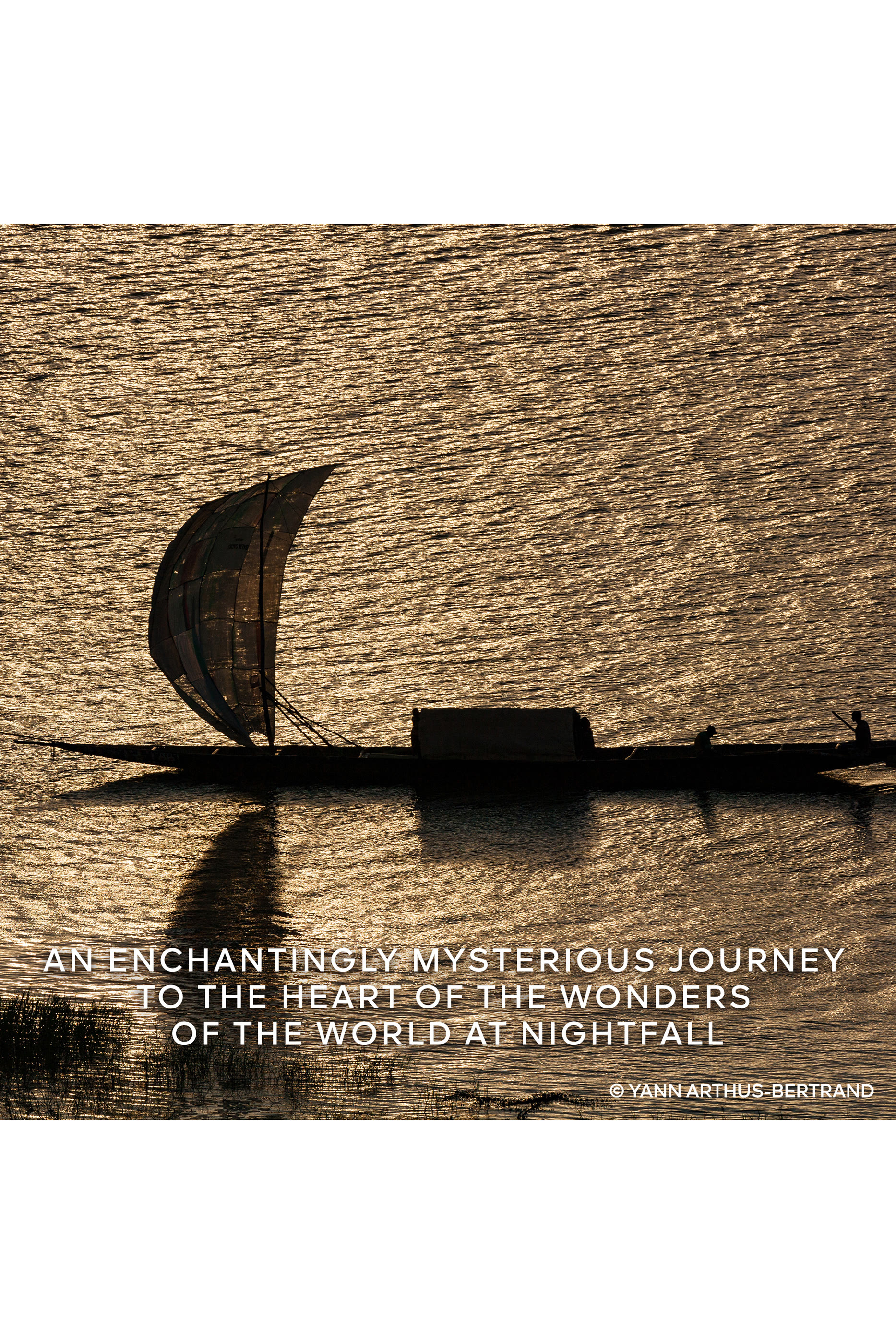 أو دو بارفان أبسولوس أليجوريا أمبر سمر