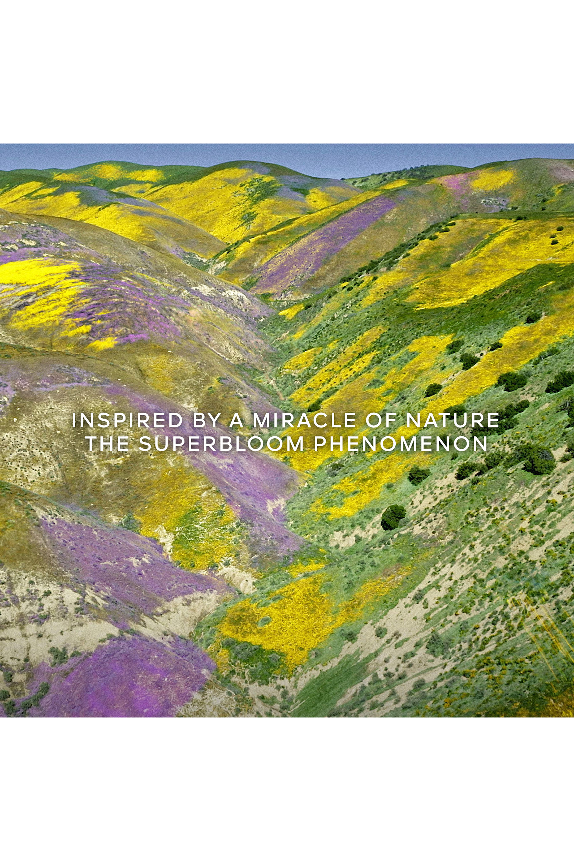 أو دو بارفان أكوا أليغوريا فلورابلوم فورت