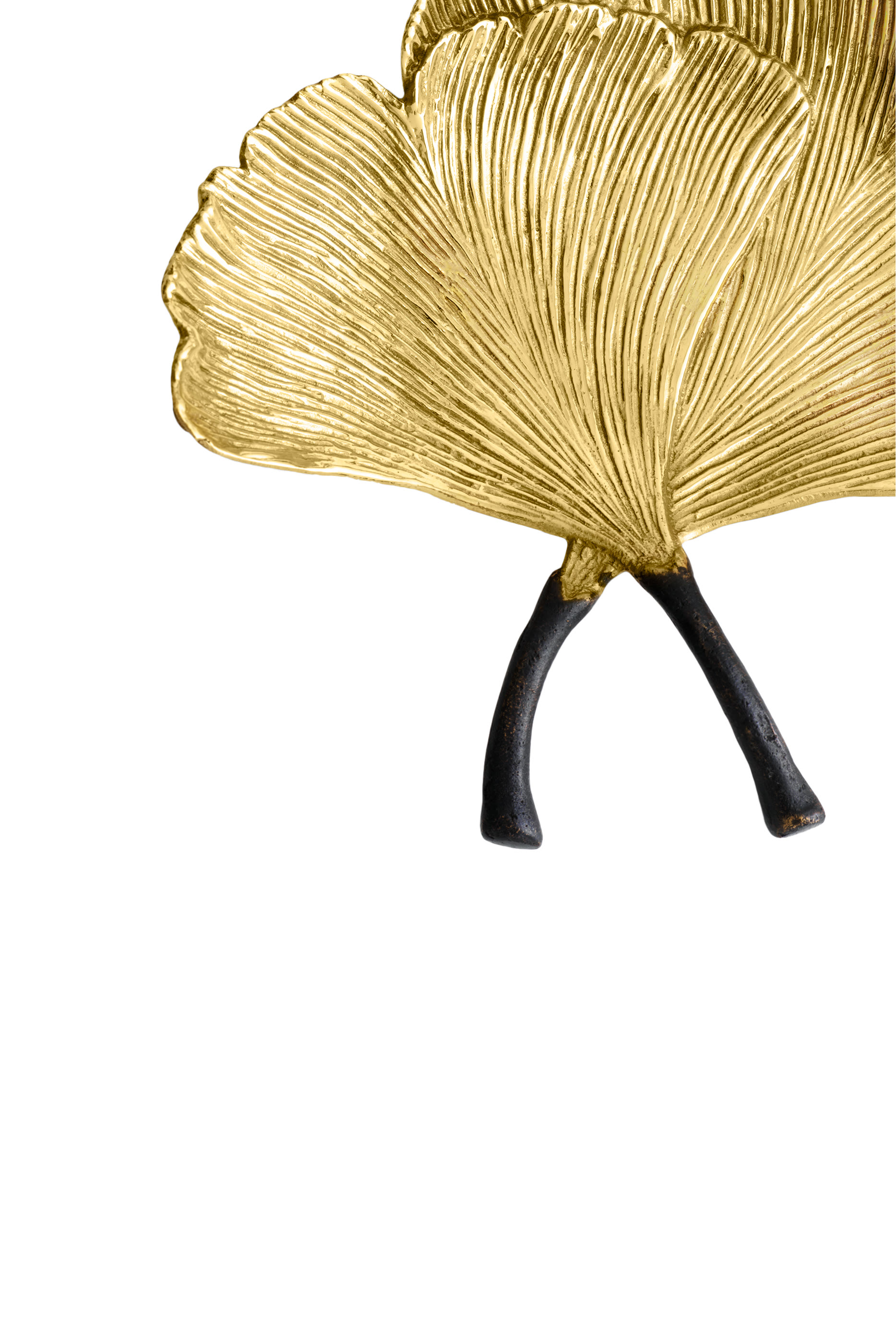 Golden Ginkgo Catch All