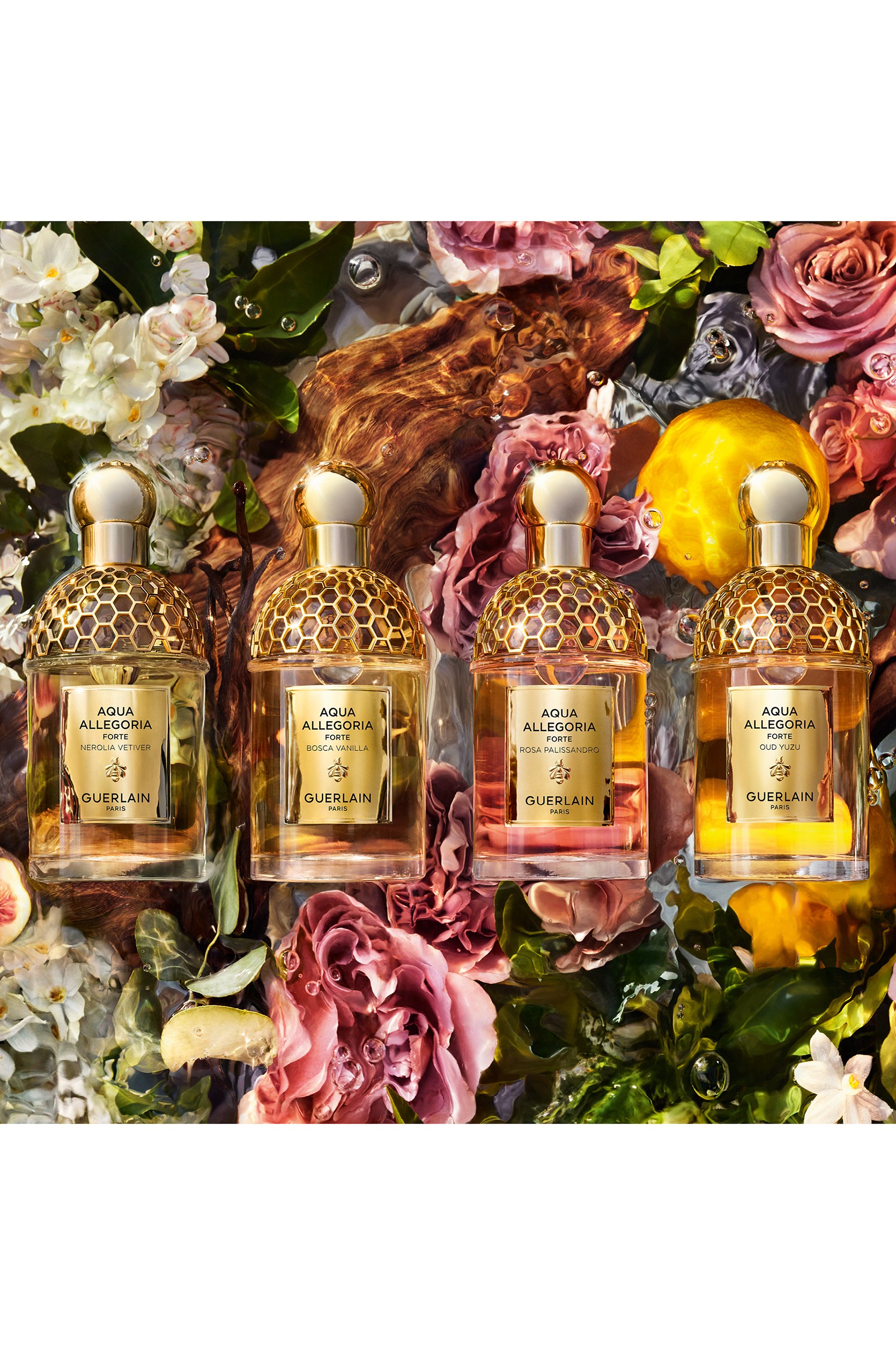 أو دو بارفان اكوا أليجوريا فورت عود يوزو