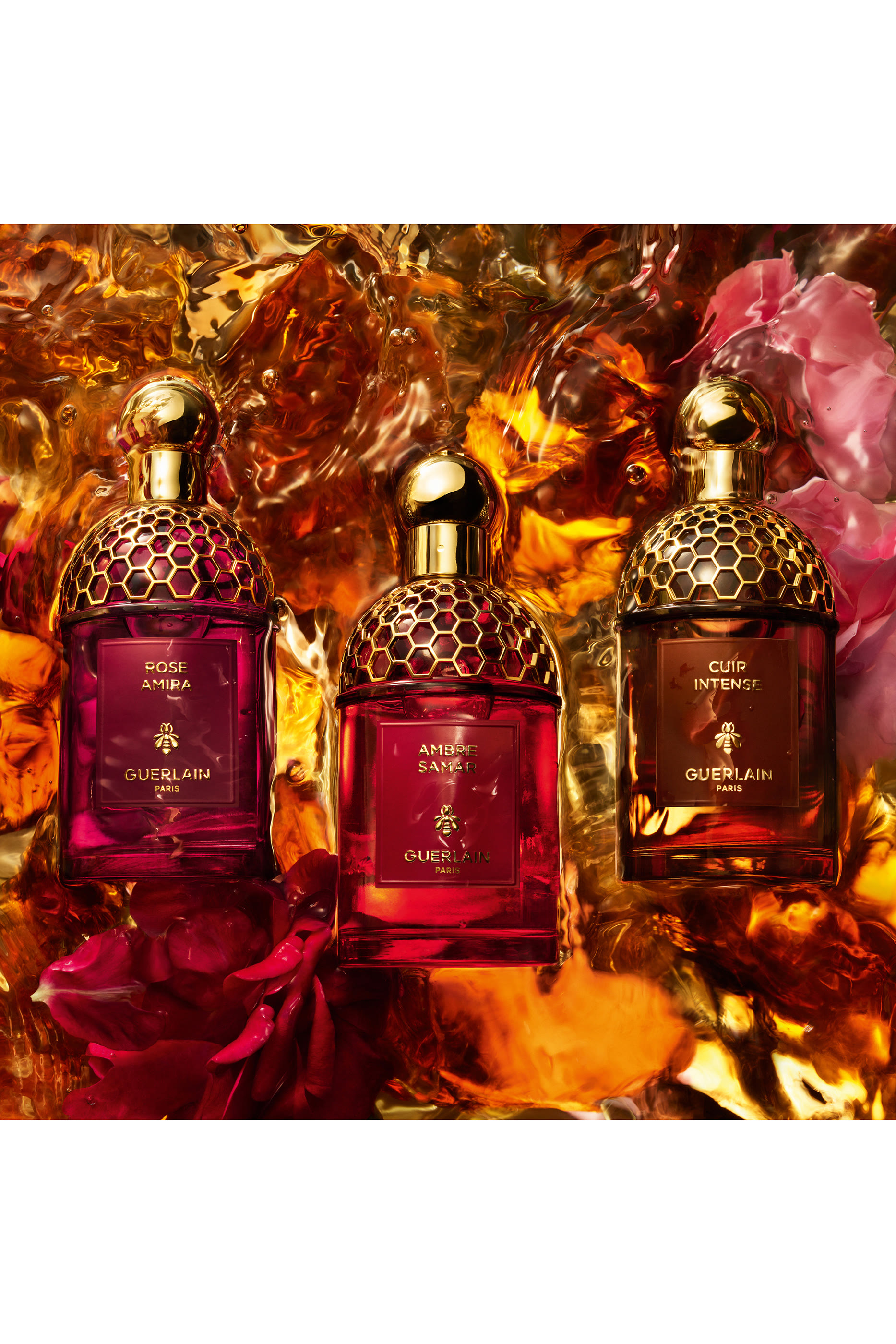 أو دو بارفان أبسولوس أليجوريا أمبر سمر