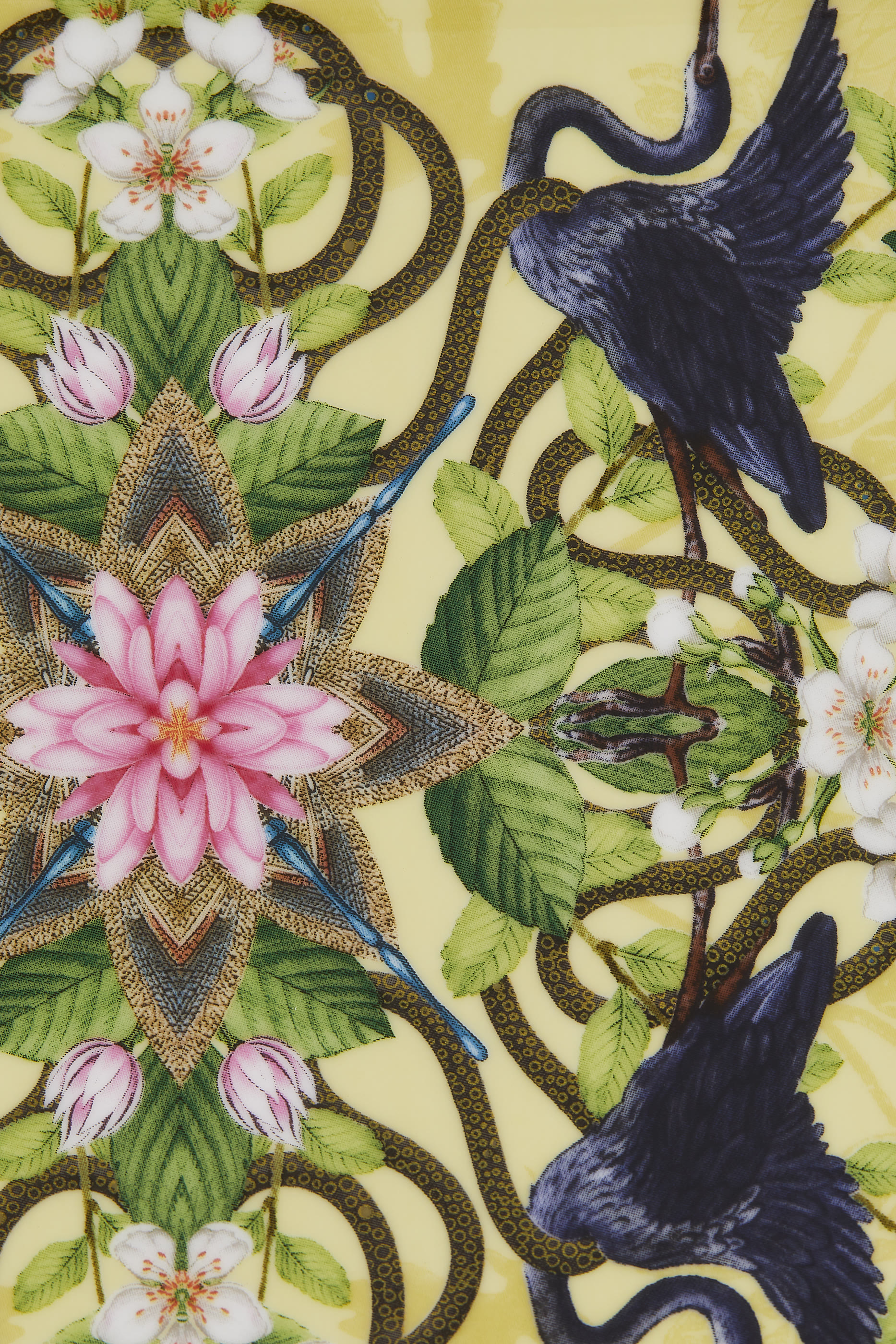 صينية ساندويتش وندرلست واتر ليلي