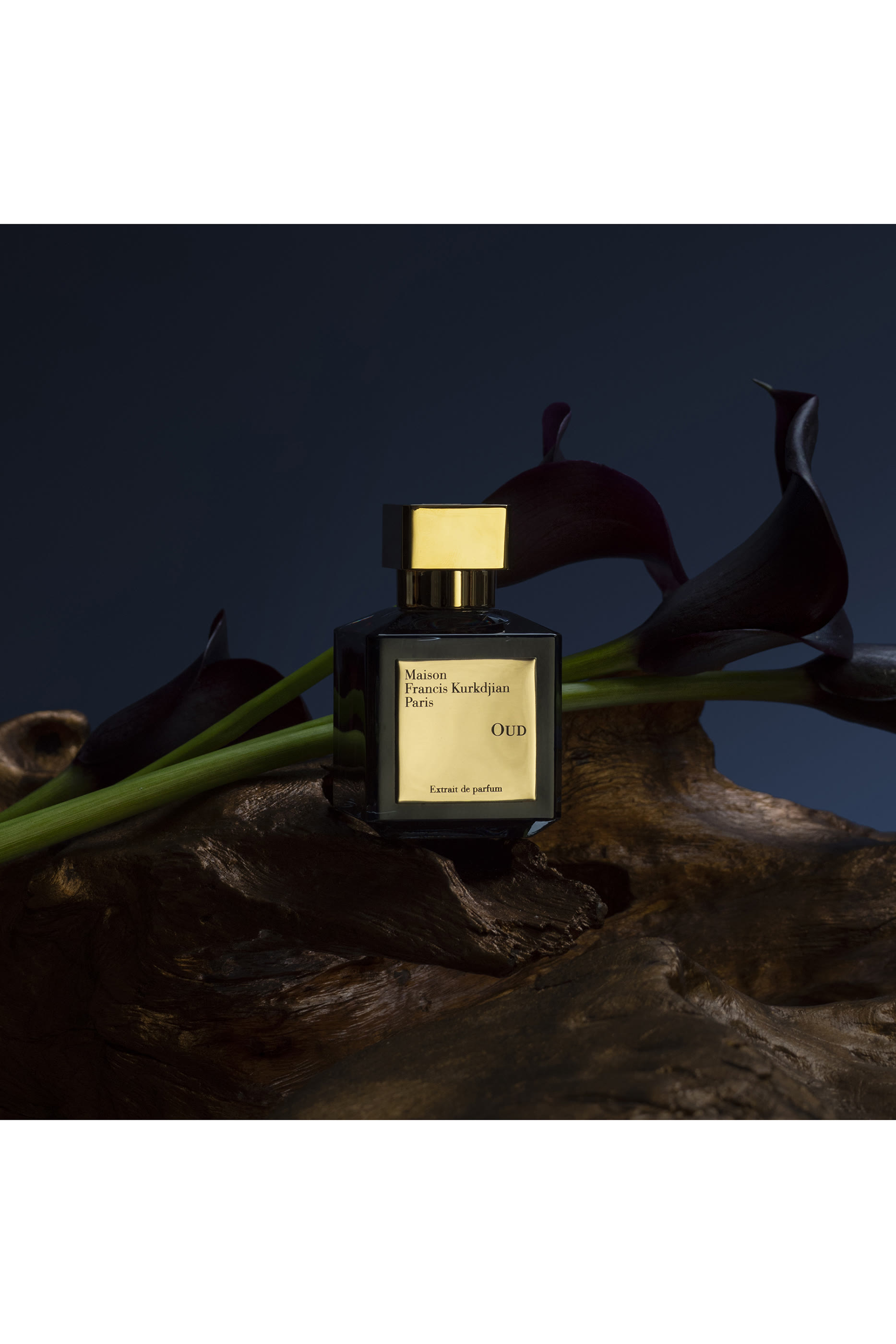 عطر عود المركز