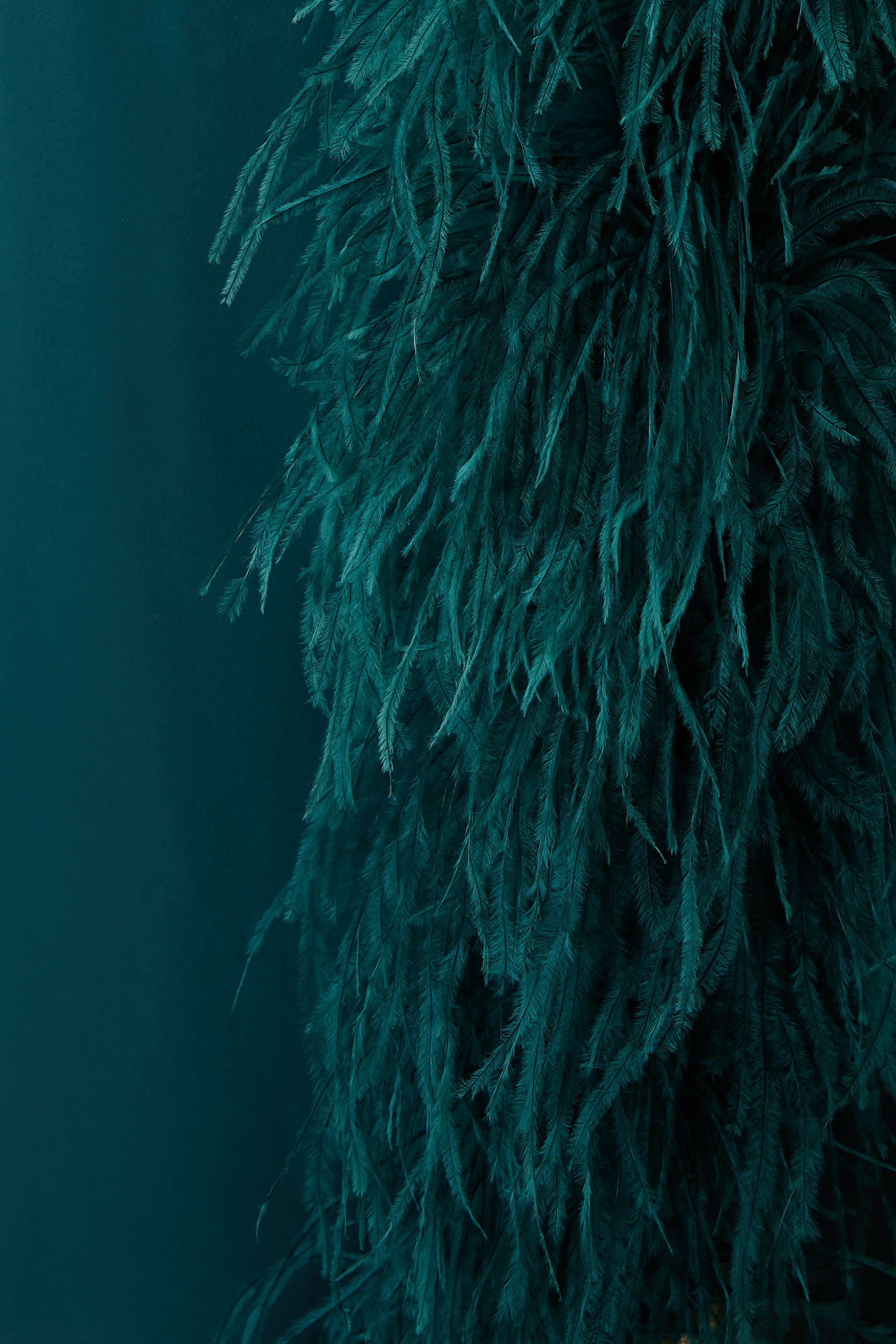  تنورة طويلة بخصر مرتفع بتفاصيل ريش وفتحة جانبية ساتان