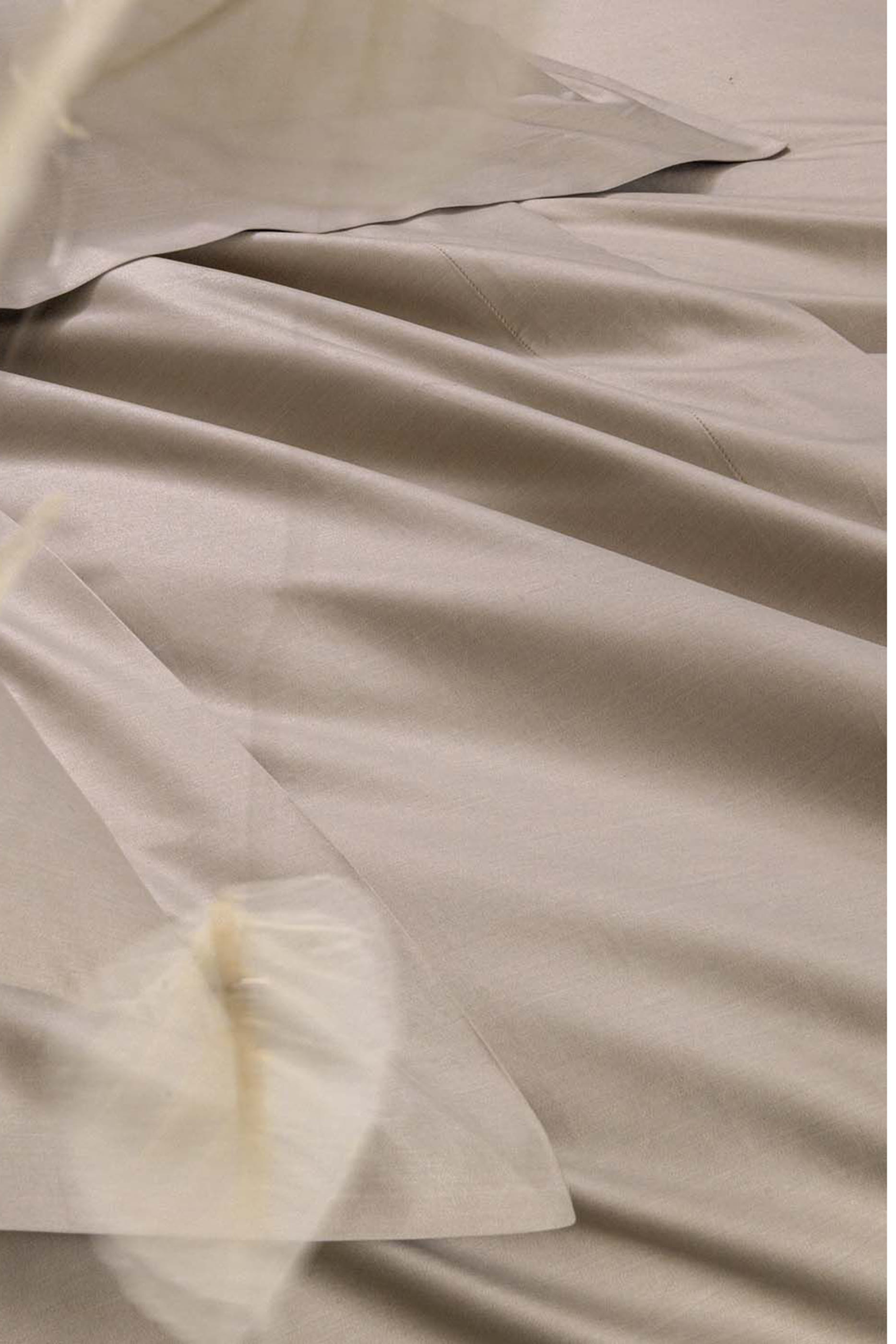 غطاء وسادة شام ناتوراليسمو