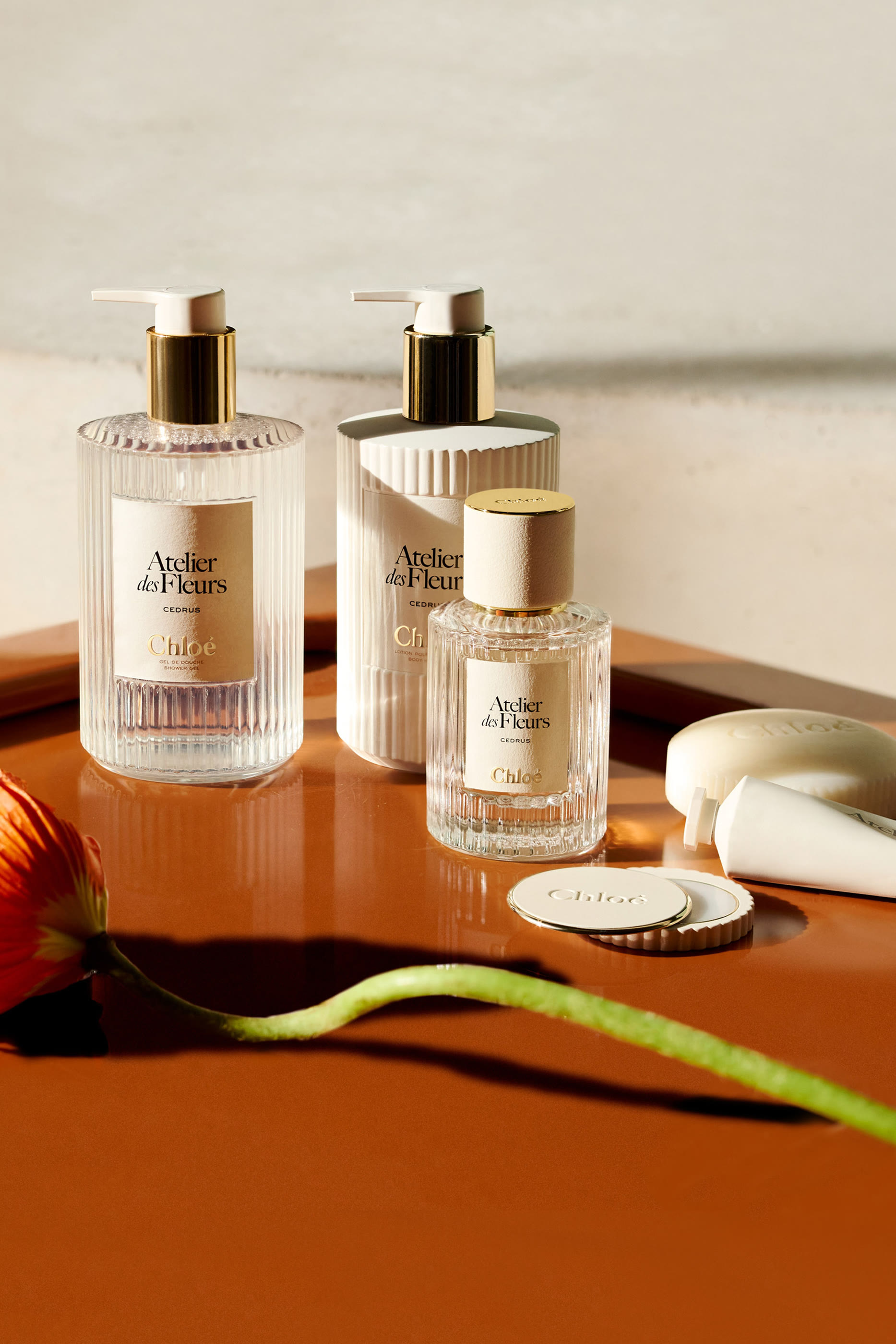 جل استحمام معطر سيدرس أتولييه دي فلور