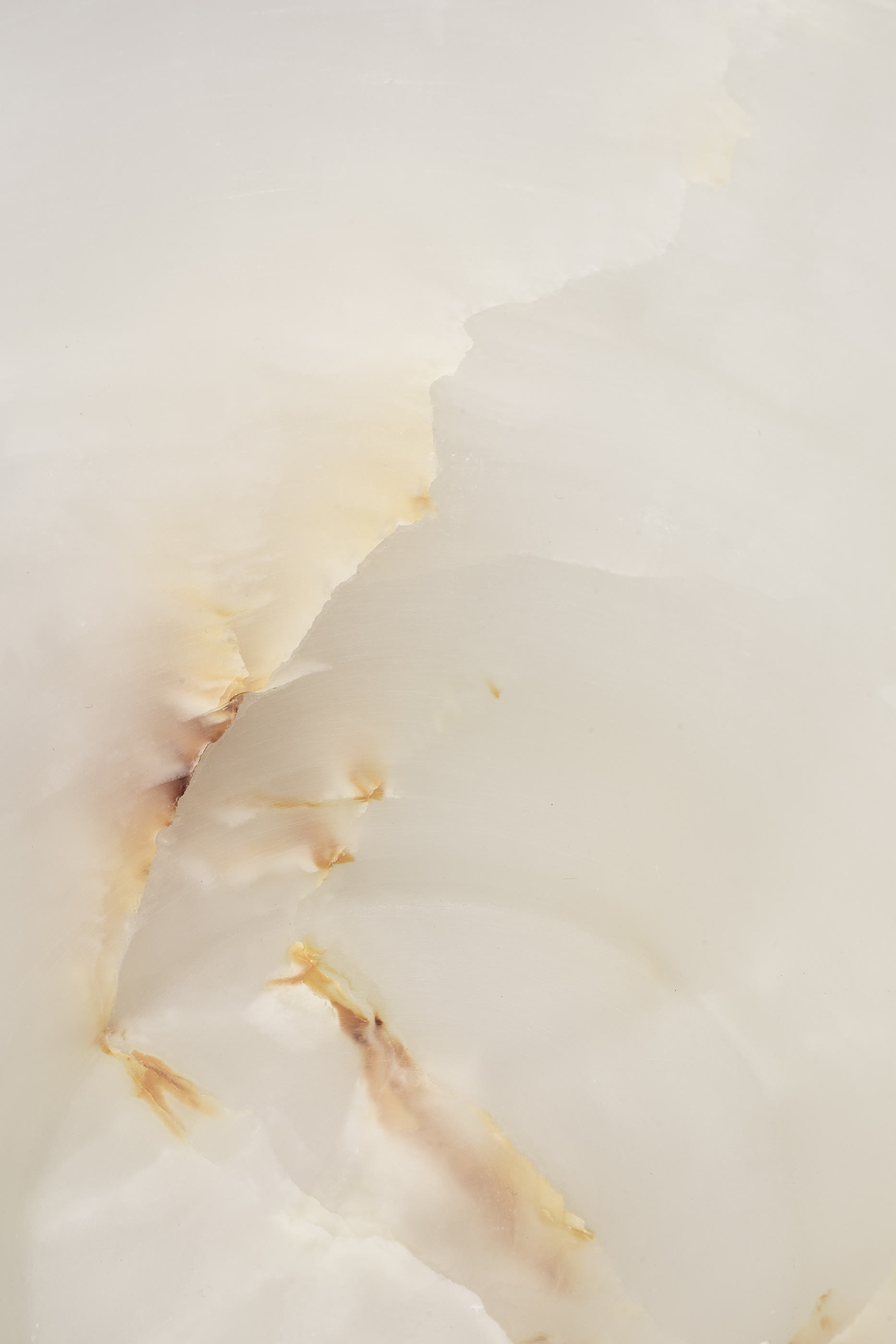 مزهرية فيوم صغيرة