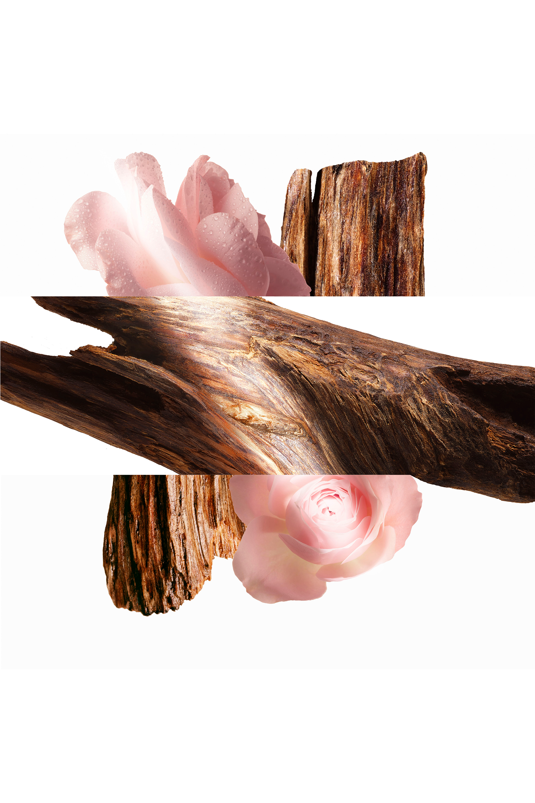 عبوة إعادة ملء أو دو بارفان Oud Alezan 