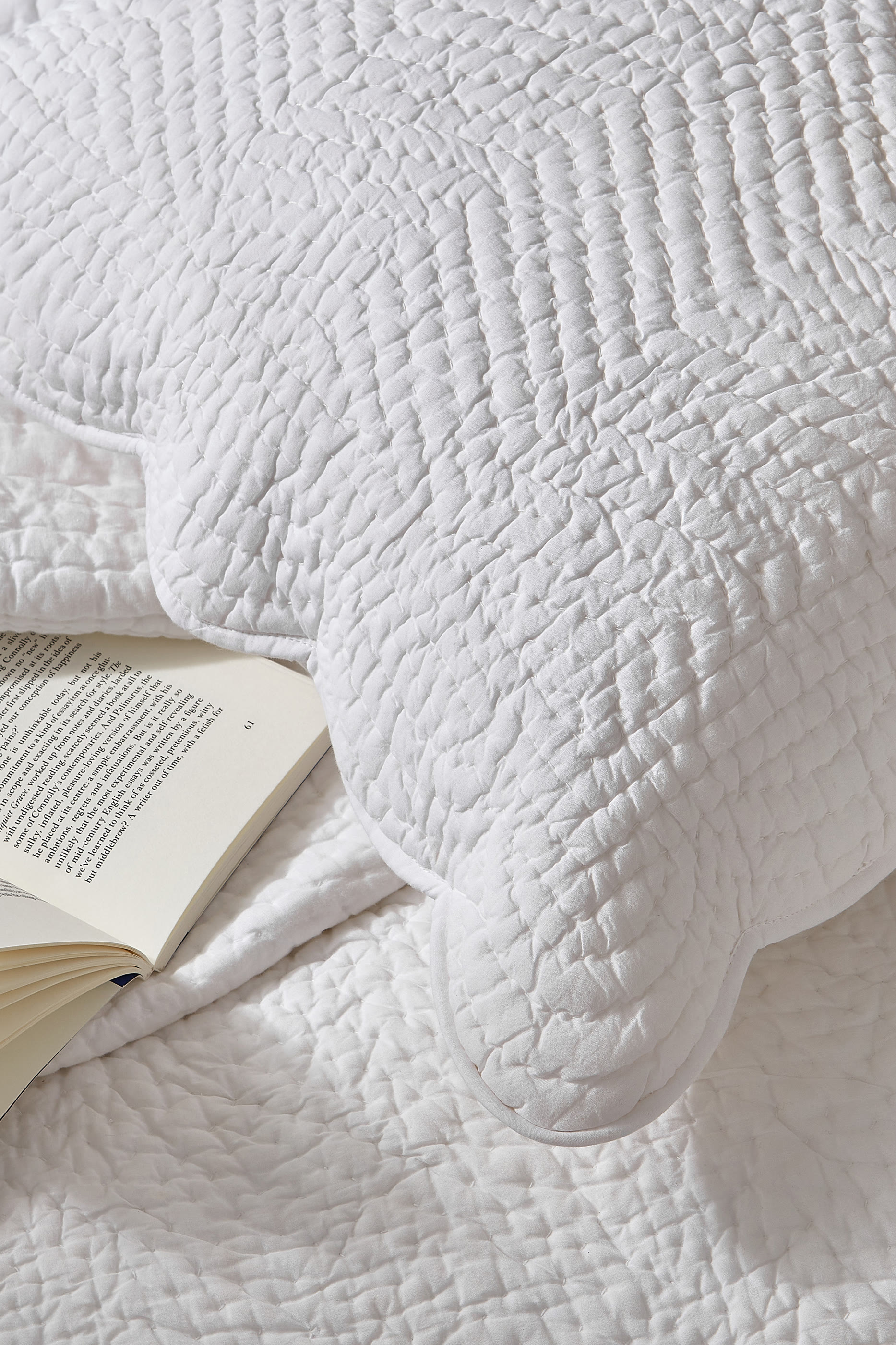 وسادة ميلفيلد بحواف صدفية